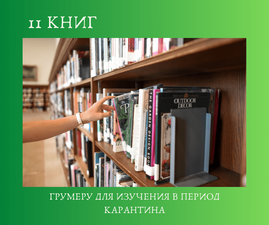 11 книг, которые может прочесть грумер в период карантина